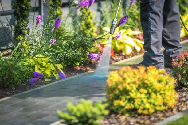 Professional Pressure Washing Services in Latham, NY