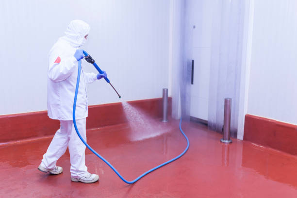 Best Paint Preparation  in Latham, NY